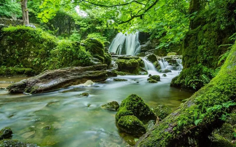 智能系统高端